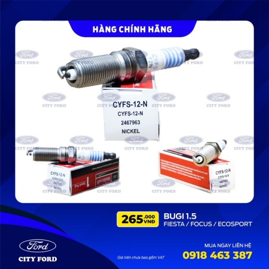 Bugi 1.5 – Fiesta | Focus | Ecosport